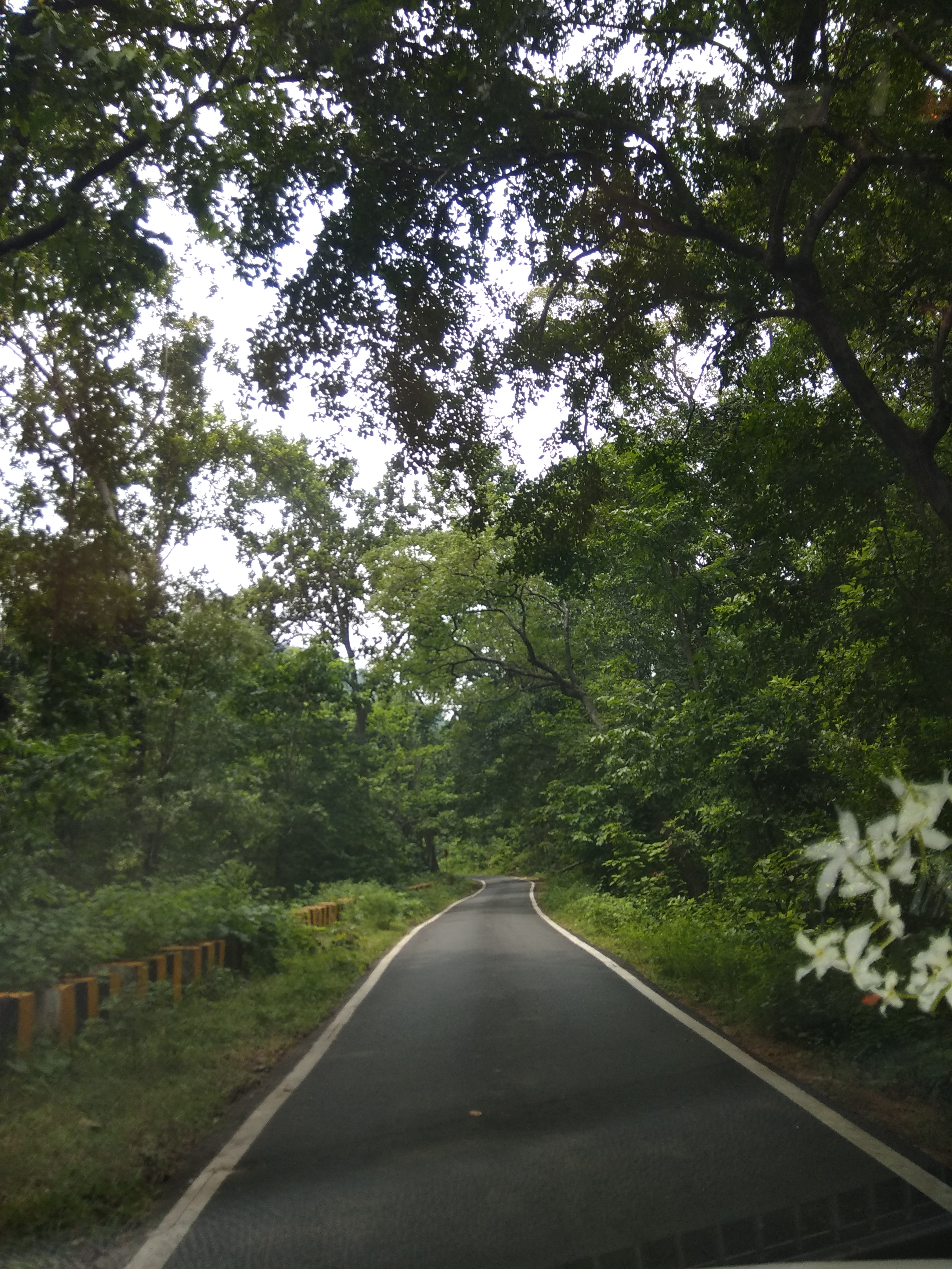 DARINGBARI & GOPALPUR ORISHA