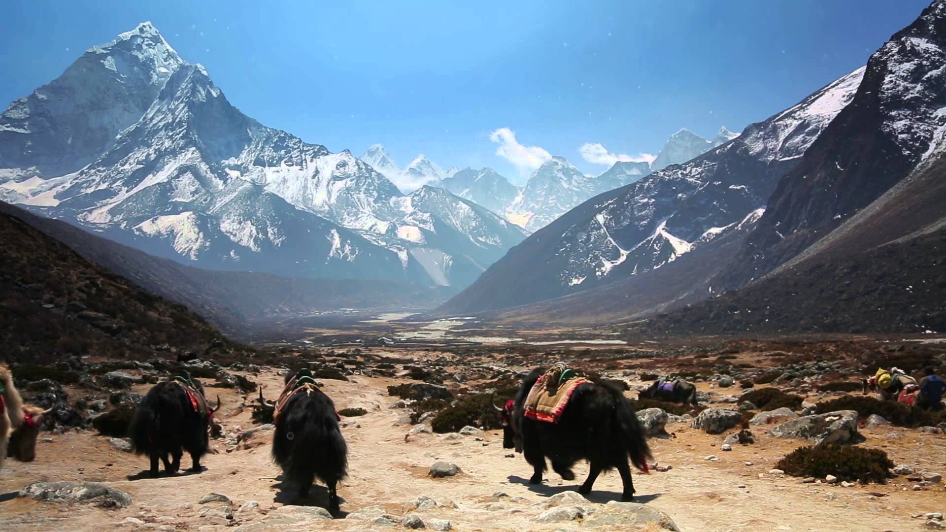 Nepal 