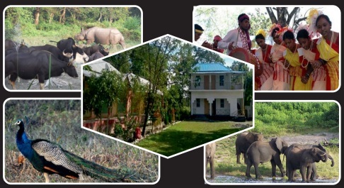 DOOARS WITH JALDAPARA