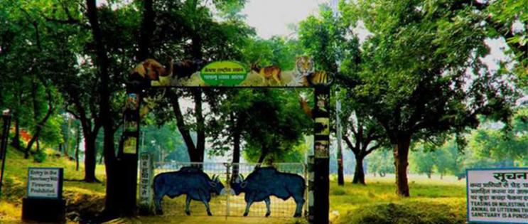 BETLA NATIONAL PARK